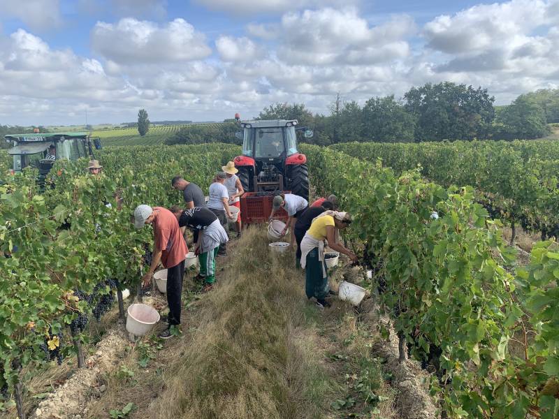Entreprise viticole effectuant vendanges de crémant dans l'entre deux mers en Gironde