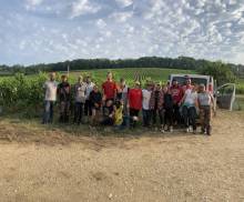 Recrutement d'ouvriers viticole pour la tombée des bois en Gironde